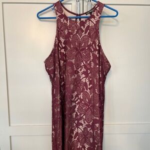 Express lace sheath dress